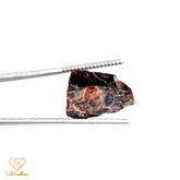 Natural Rough Garnet - 17 pcs - Saleh Sallom